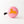 A pink bicycle bell with a printed orange cat design on it, featuring a black push lever.